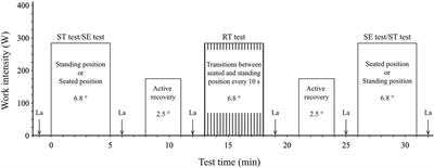 Steep uphill cycling using repeated transitions between seated and standing positions results in a lower blood-lactate concentration than continuous use of either seated or standing position